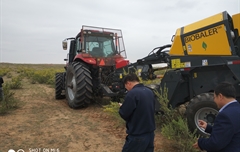 2019年，內(nèi)蒙奈吉牧草有限公司，采購一臺Anderson檸條平茬機(jī)